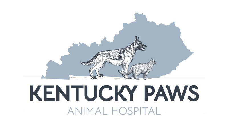 Crescent Springs, KY 41017 Veterinarian - Kentucky Paws Animal Hospital